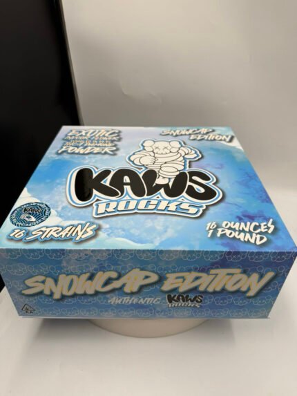 Kaws Rocks Snowcap Edition