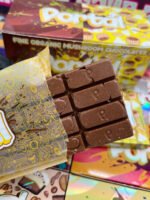 Portal Fine Organic 6g Mushroom Chocolate