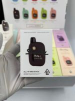 Stealthy Air 2g Disposable | Premium High-Capacity Vape